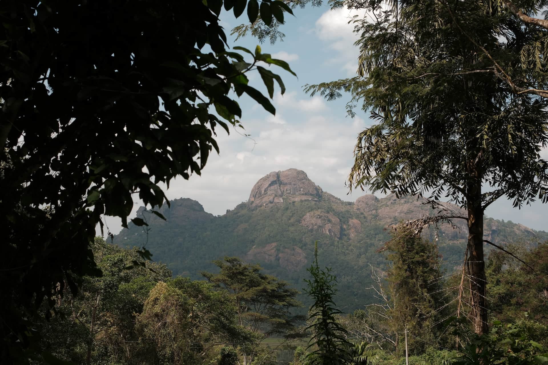 Top Places to Visit in Wayanad